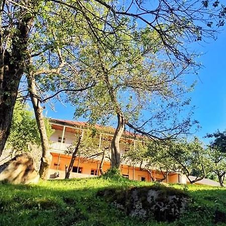 Hotel Mushkudiani Manor Mestia Zewnętrze zdjęcie