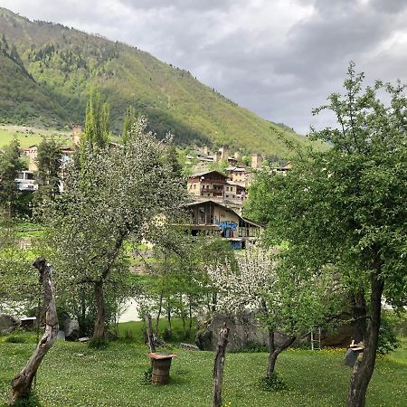 Hotel Mushkudiani Manor Mestia Zewnętrze zdjęcie